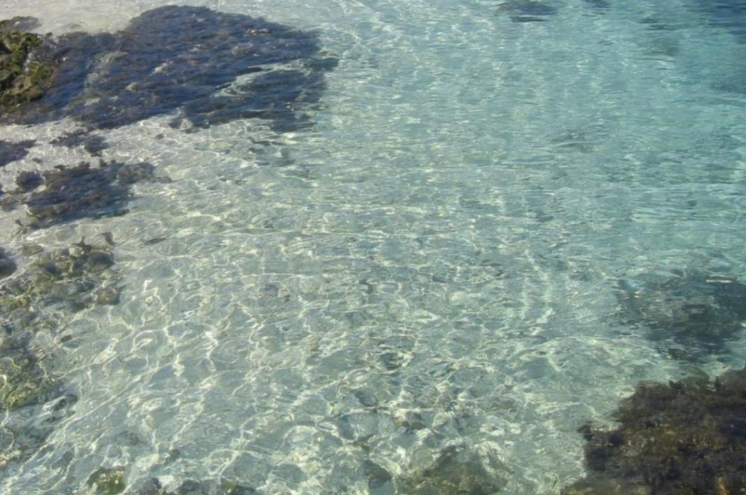 Sea Mona Tivat
